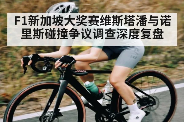 F1新加坡大奖赛维斯塔潘与诺里斯碰撞争议调查深度复盘